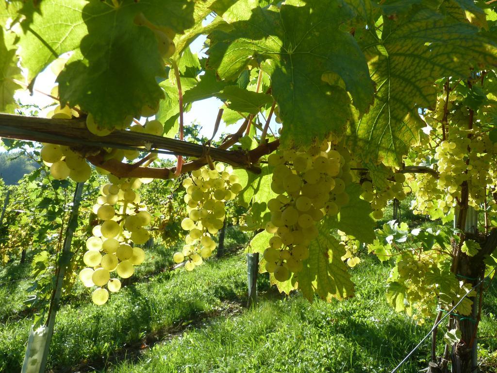Weingut- Gaestezimmer Marko Leutschach Buitenkant foto