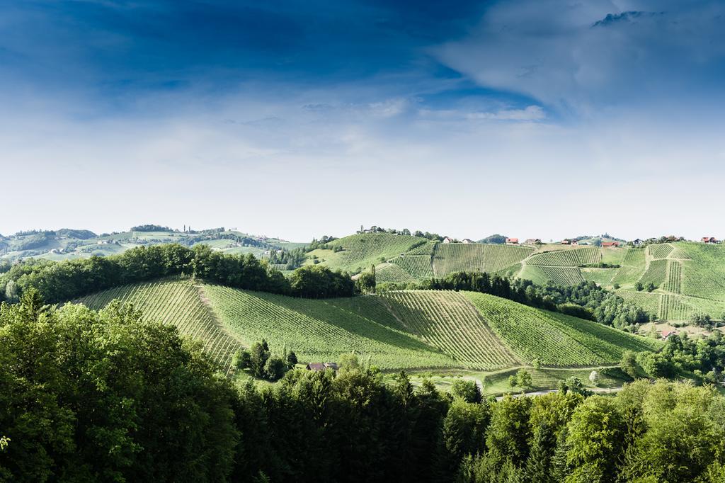Weingut- Gaestezimmer Marko Leutschach Buitenkant foto