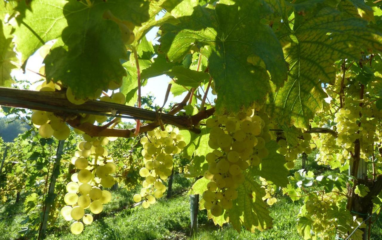 Weingut- Gaestezimmer Marko Leutschach Buitenkant foto