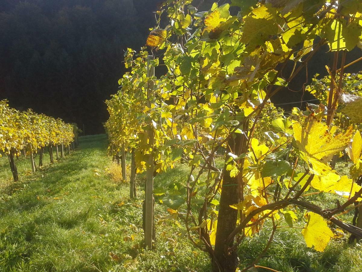 Weingut- Gaestezimmer Marko Leutschach Buitenkant foto